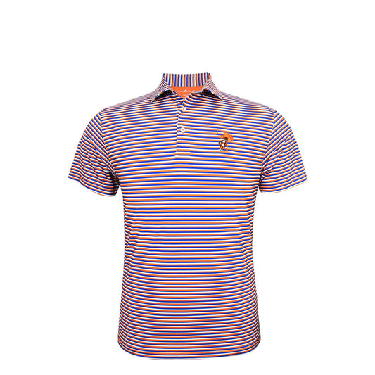 HL2117 Clemson Stripe Polo